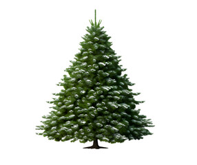 Christmas tree covered with snow, isolated on a white transparent background