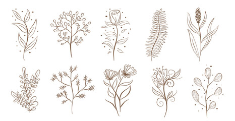 Botanical flower plant nature graphic sketch drawing, Vintage floral tiny tattoo design, leaf tropical elements vector illustration - obrazy, fototapety, plakaty