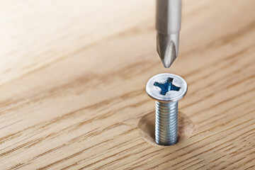 screwdriver screw in a wood oaks plank
