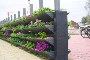 Green facade, living wall garden, vertical gardening