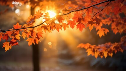 Naklejka na ściany i meble Sunrays over colorful autumn leaves created with Generative AI