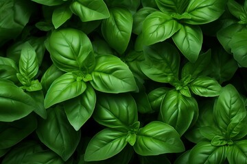 Textured Basil leaves background. Salad macro. Generate Ai - obrazy, fototapety, plakaty
