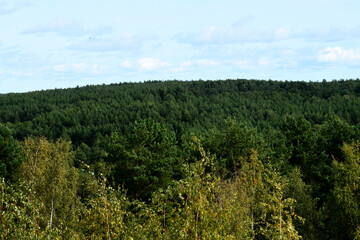 Nature is the material world of the universe, in fact — the main object of the study of natural sciences.