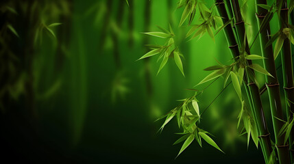Green natural background with bamboo branches