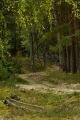 Obraz premium Nature is the material world of the universe, in fact — the main object of the study of natural sciences.