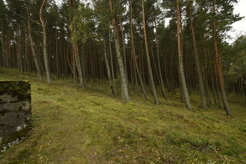 Nature is the material world of the universe, in fact — the main object of the study of natural sciences.