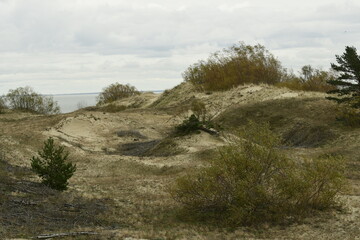 Nature is the material world of the universe, in fact &mdash; the main object of the study of natural sciences.