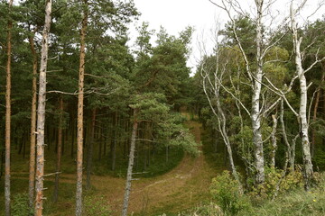 Nature is the material world of the universe, in fact — the main object of the study of natural sciences.