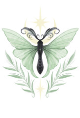 Green Leaves Butterfly Star and Moon illustration no background 