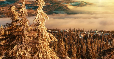 Fotobehang Winter in Norway © Galyna Andrushko