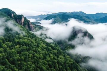 A View Of A Mountain Covered In Clouds And Trees