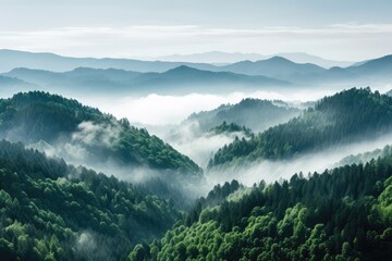 View From Height Of Mountain Peak Adorned With Green Trees In The Fog