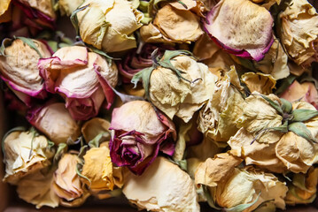 Dried rose flowers and petals. Floral decor.