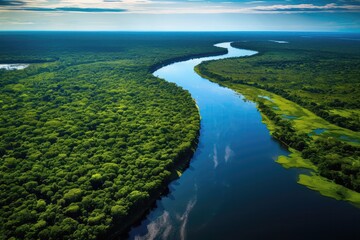 Fototapeta na wymiar Aerial View Of The River And The Jungle Forest
