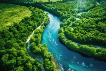 Drones Aerial View Of Lush Forest With Tall Trees And Winding Blue River