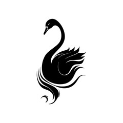 black swan vector