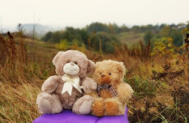 Two fluffy Teddy bears sitting on a purple pillow in nature