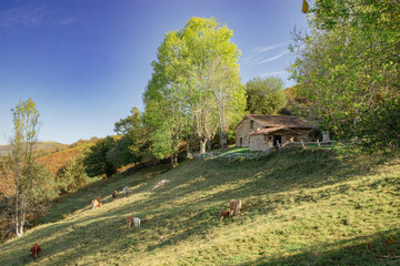 Cabaña en Asturias
