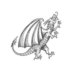 Dragon medieval heraldic animal monster sketch. Mythical animal, mythology winged dragon or magic beast medieval vector sign. Heraldry hand drawn emblem or royal coat of arms legendary animal symbol - obrazy, fototapety, plakaty