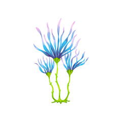 Fototapeta na wymiar Cartoon underwater strap kelp seaweed plant. Aquarium and sea algae. Ocean underwater algae, tropical sea water flora or undersea deep weed, coral reef or aquarium isolated vector marine seaweed plant