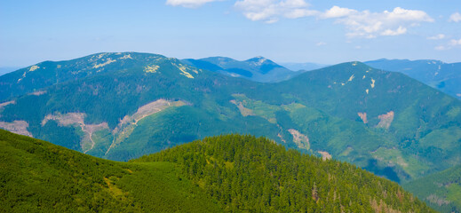 summer green mountain valley landscape