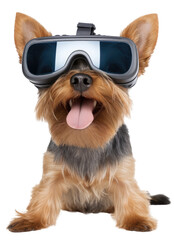 Sitting yorkshire terrier dog wearing VR glasses isolated on white background as transparent PNG