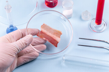 Cultured meat. Bacon in Glass Petri Dish. Laboratory Studies of Artificial Meat. Chemical Stock...