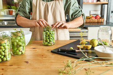 Woman preparing fermented olives in glass jar with slices of lemon, wild fennel and canning brine. Autumn vegetables canning. Healthy homemade food. Conservation of harvest.