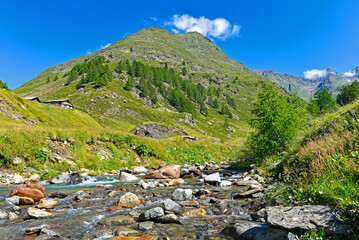 Fototapeta na wymiar Die Botzergruppe in den südlichen Stubaier Alpen in Südtirol, Italien 