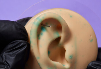 Professional placing the jewel of training silicone for ear piercing Tragus type. - obrazy, fototapety, plakaty