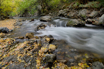 Fototapeta premium stream in the mountains, Fall season, Fall in the mountains, moving water, stream in motion