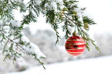 Red and gold glitter Christmas ornament hanging in a juniper tree on a snowy branch