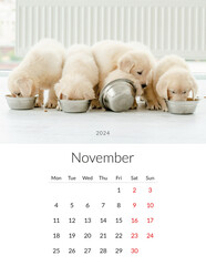 November 2024 year Photo calendar with cute dogs. Annual daily planner template with doggy pets....
