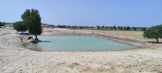 A beautiful place in Rajasthan