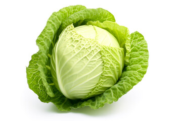 Cabbage isolated on white background. Fresh green cabbage.
