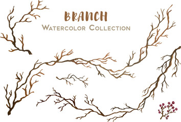 handdrawn watercolor collection of branch
