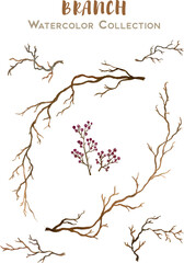 handdrawn watercolor collection of branch
