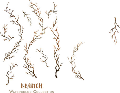 handdrawn watercolor collection of branch