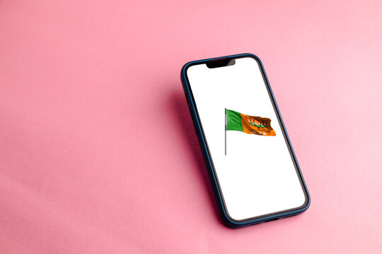  Bhartiya Janata Party flag