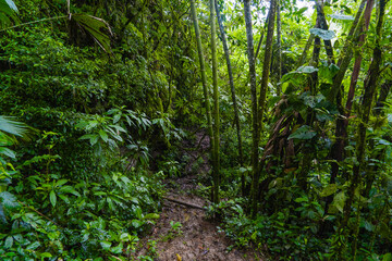 River located on the border of Ecuador and Colombia. San Miguel River