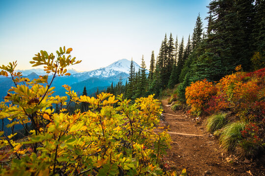 Fall In The Chinook Pass Area of Mount Rainier National Park at Sunset