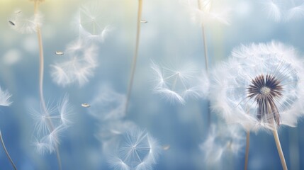 dandelion seeds floating in air