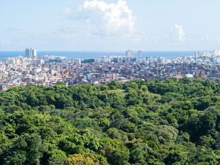 Social Contrast with buildings and favela and green vegetation