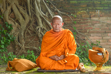 Buddhist monk in a traditional orange robe (kasaya) sitting in a garden meditating, Thailand