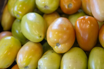 Background of roma tomatoes