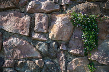 Stone wall, stone wall, limestone, rough stone wall background and wallpaper