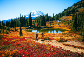 Girl hiking Through In The Chinook Pass Area of Mount Rainier National Park at Fall, Naches Peak...