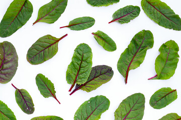 Swiss chard on white background. Baby leaf swiss chard