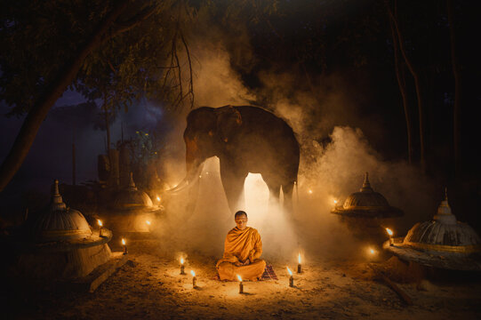 Monk in a traditional orange robe (kasay) surrounded by candles sitting in front of an elephant, Surin, Thailand