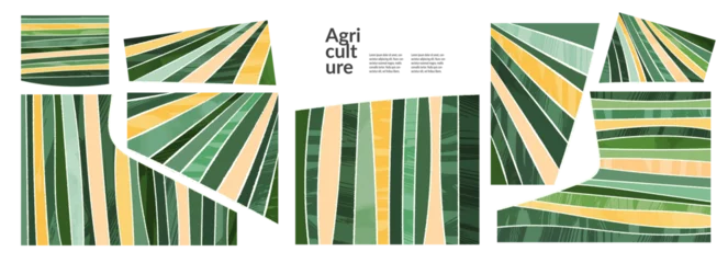Zelfklevend Fotobehang Set of abstract shapes green field from aerial view. Minimalist summer field landscape poster collection. Rural view, grunge texture. Design elements for social media post, layout, card, background © Maria Petrish